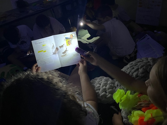 Glow Day - <p>3rd Graders are growing and glowing!</p>